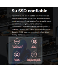 KS-DISCO SOLIDO SSD KINGSPEC P3-1TB 2.5 PULG SATA