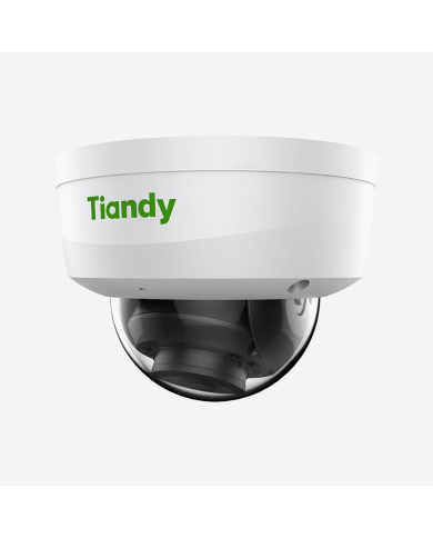CAMARA IP SK TIPO DOMO ANTIBANDALICA 2MP 2.8mm IR 30m MIC POE IP66 TC-C32KN TIANDY