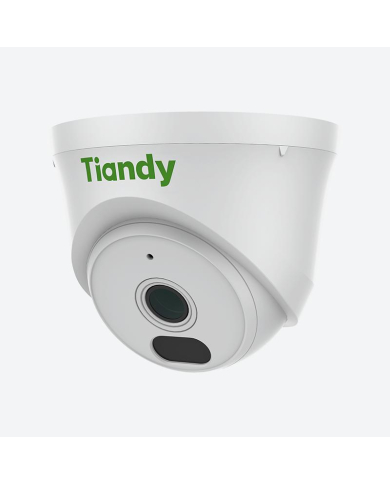 CAMARA IP AK COLOR MAKER TIPO DOMO 2MP 2.8mm IR 30m FHD MIC POE TC-C320N-1ANB TIANDY