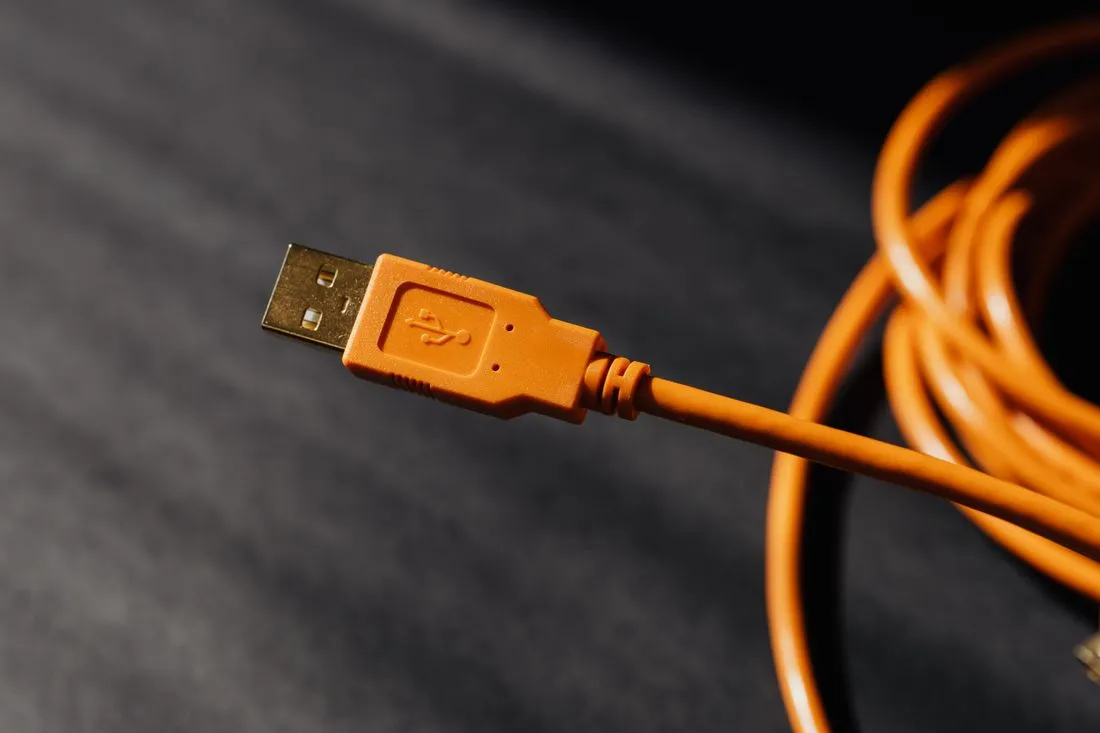 Primer plano de varios conectores de cable USB